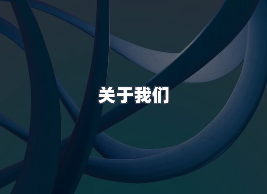 专业团队